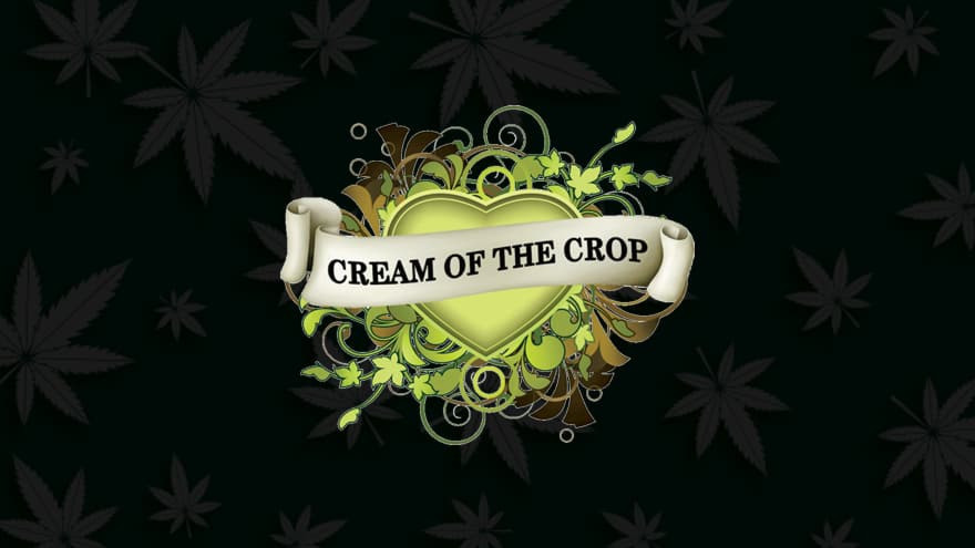 https://media.seedsupreme.com/media/codazon_cache/brand/1200x/codazon/brand/Covers/cream-of-the-crop-seeds-seedbank-cover.jpg