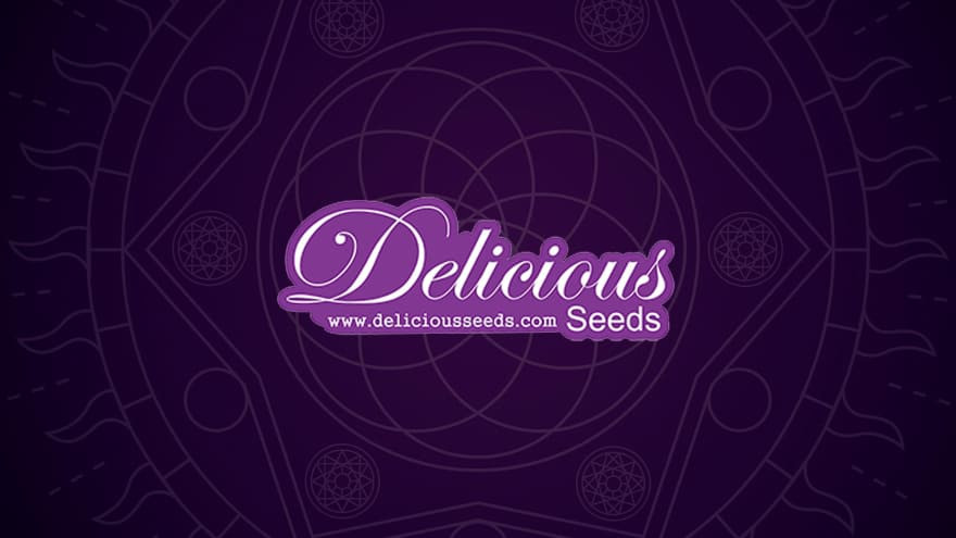 https://media.seedsupreme.com/media/codazon_cache/brand/1200x/codazon/brand/Covers/delicious-seedbank-cover.jpg