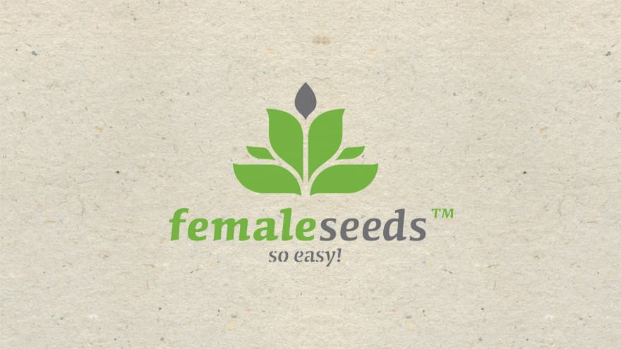 https://media.seedsupreme.com/media/codazon_cache/brand/1200x/codazon/brand/Covers/female-seeds-seedbank-cover.jpg