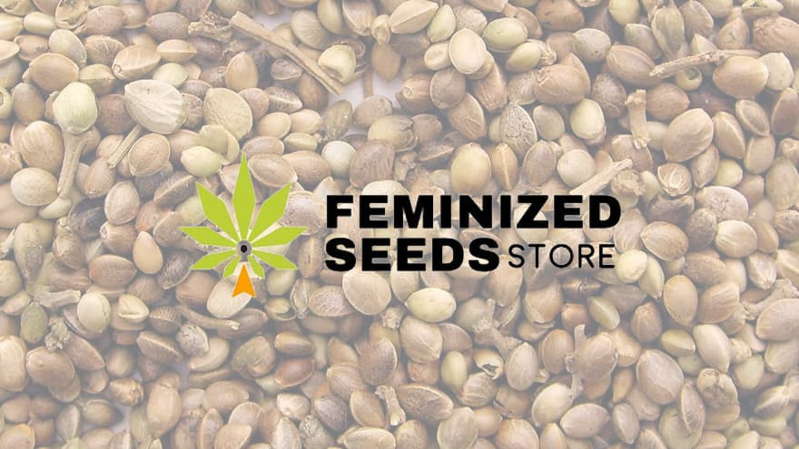 https://media.seedsupreme.com/media/codazon_cache/brand/1200x/codazon/brand/Covers/feminized-seeds-seedbank-cover.jpg