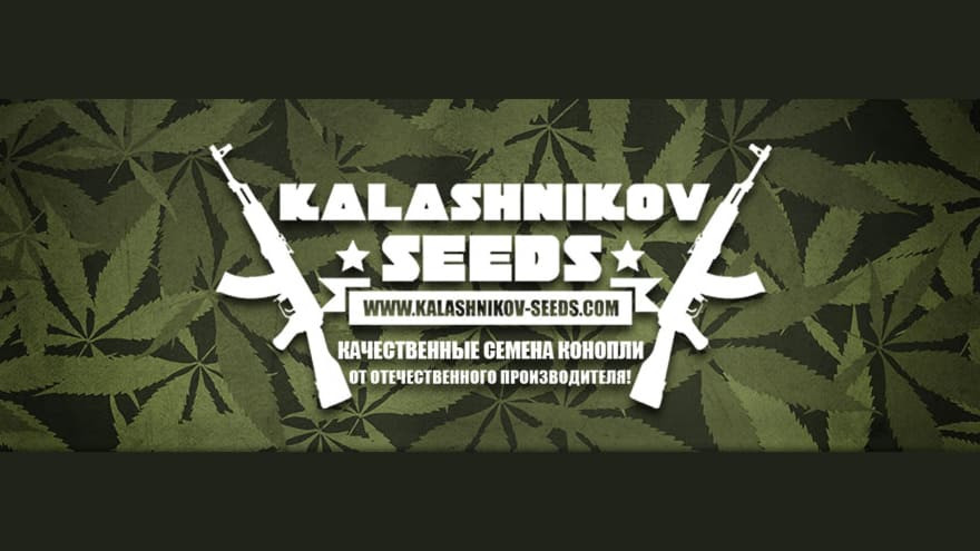https://media.seedsupreme.com/media/codazon_cache/brand/1200x/codazon/brand/Covers/kalashnikov-seeds-seedbank-cover.jpg