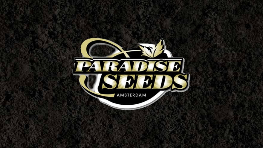 https://media.seedsupreme.com/media/codazon_cache/brand/1200x/codazon/brand/Covers/paradise-seeds-seedbank-cover.jpg