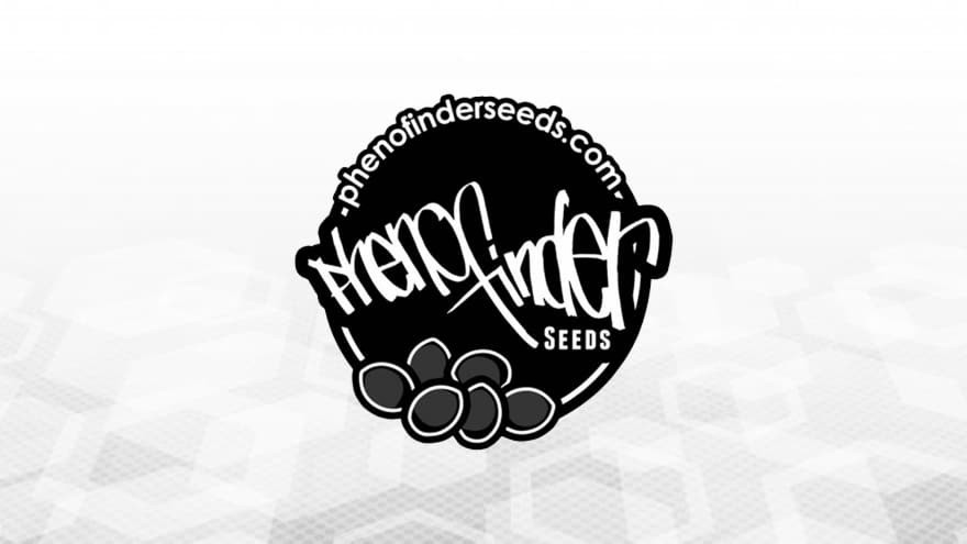 https://media.seedsupreme.com/media/codazon_cache/brand/1200x/codazon/brand/Covers/pheno-finder-seeds-seedbank-cover.jpg