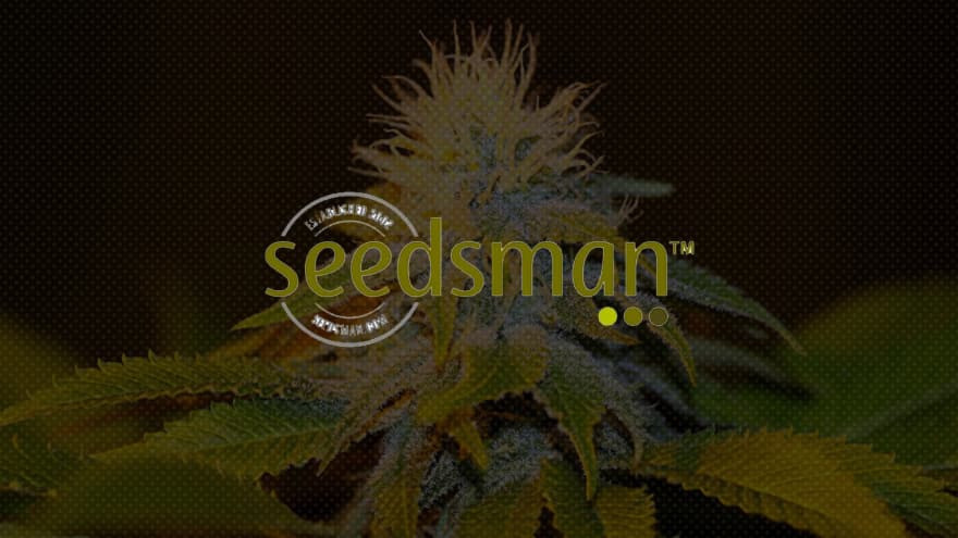 https://media.seedsupreme.com/media/codazon_cache/brand/1200x/codazon/brand/Covers/seedsman-seedbank-cover.jpg