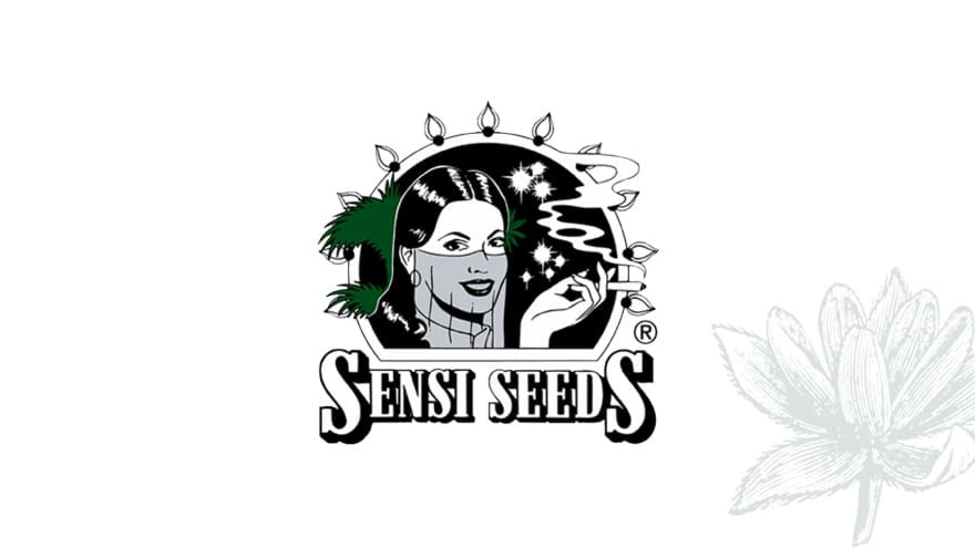 https://media.seedsupreme.com/media/codazon_cache/brand/1200x/codazon/brand/Covers/sensi-seeds-seedbank-cover.jpg