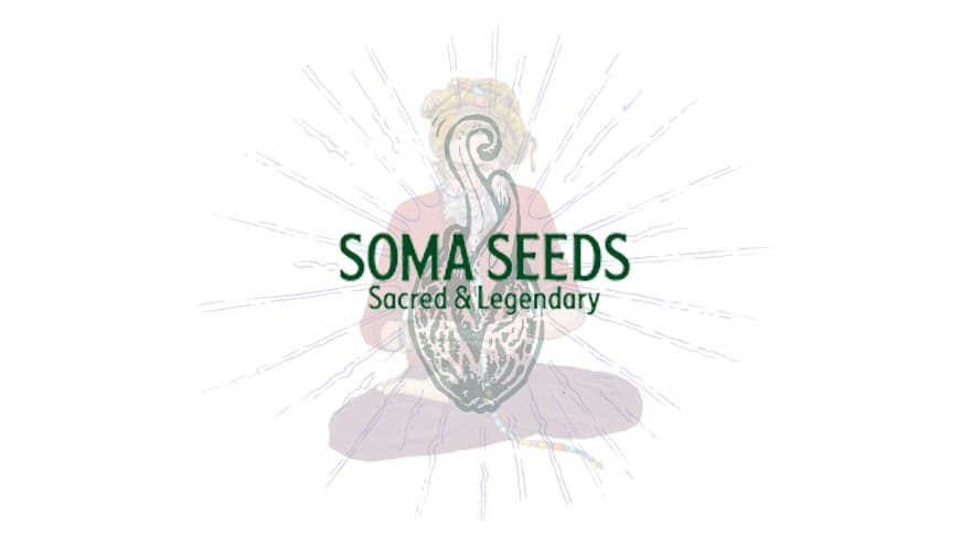 https://media.seedsupreme.com/media/codazon_cache/brand/1200x/codazon/brand/Covers/soma-seeds-seedbank-cover.jpg