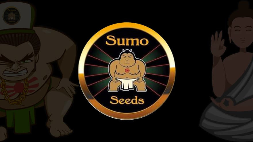 https://media.seedsupreme.com/media/codazon_cache/brand/1200x/codazon/brand/Covers/sumo-seeds-seedbank-cover.jpg