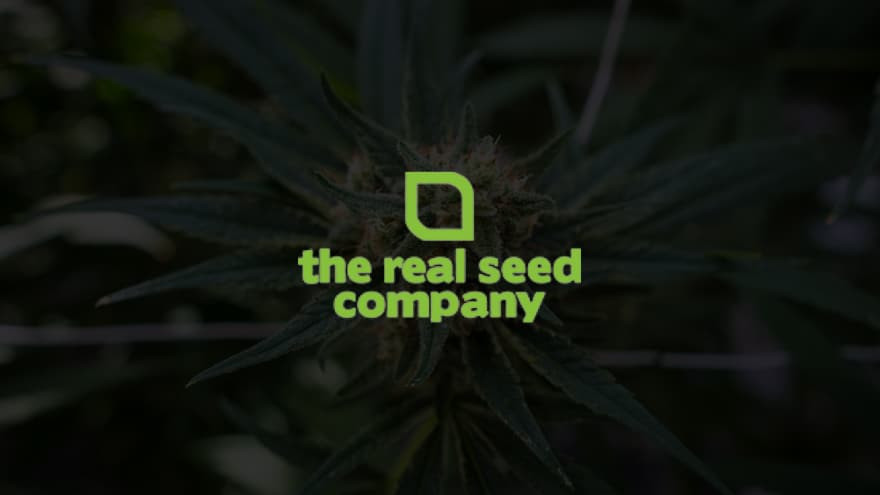 https://media.seedsupreme.com/media/codazon_cache/brand/1200x/codazon/brand/Covers/the-real-seed-company-seedbank-cover.jpg