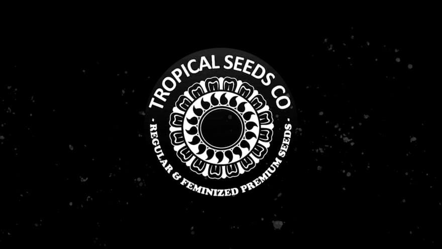 https://media.seedsupreme.com/media/codazon_cache/brand/1200x/codazon/brand/Covers/tropical-seeds-seedbank-cover.jpg