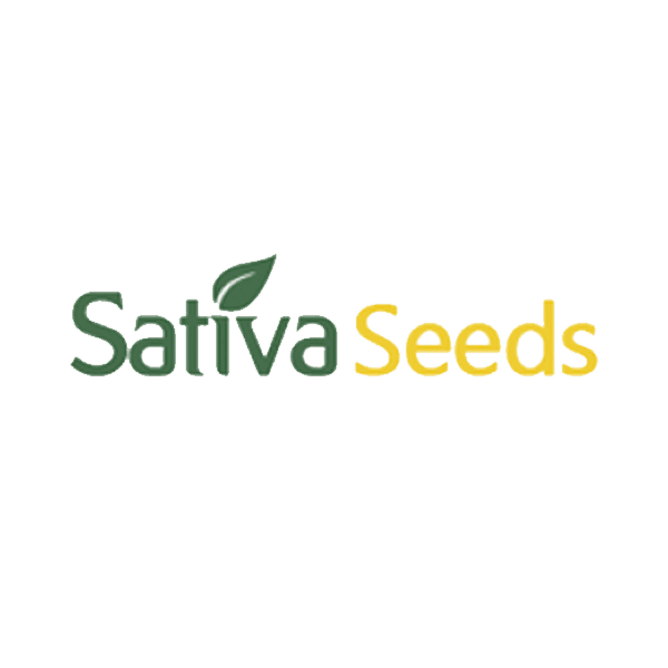 https://media.seedsupreme.com/media/codazon_cache/brand/1200x/codazon/brand/sativa_seedbank.png