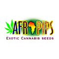 Afropips Regular Seeds