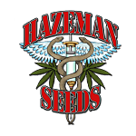 Hazeman Seeds