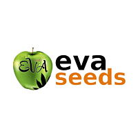 EVA Female Seeds
