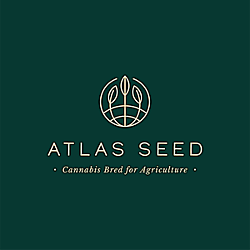 https://media.seedsupreme.com/media/codazon_cache/brand/250x/Atlas_Seed_Logo.png