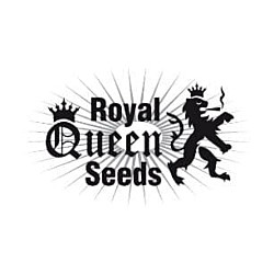 https://media.seedsupreme.com/media/codazon_cache/brand/250x/codazon/brand/306x306_seedbanks/royal-queen-seeds-seedbank.jpg