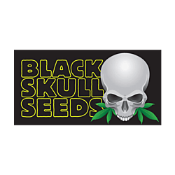 https://media.seedsupreme.com/media/codazon_cache/brand/250x/codazon/brand/Black-Skull-Seeds_1.png
