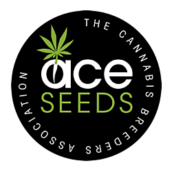 https://media.seedsupreme.com/media/codazon_cache/brand/250x/codazon/brand/ace_seeds.png