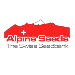 https://media.seedsupreme.com/media/codazon_cache/brand/250x/codazon/brand/alpine_seeds_1.png