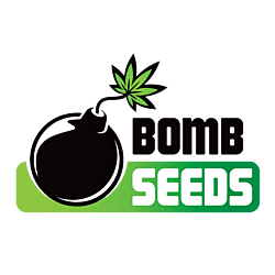 https://media.seedsupreme.com/media/codazon_cache/brand/250x/codazon/brand/bomb_seeds.png