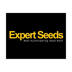 https://media.seedsupreme.com/media/codazon_cache/brand/250x/codazon/brand/expert_seeds.png