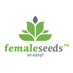 https://media.seedsupreme.com/media/codazon_cache/brand/250x/codazon/brand/female-seeds-seedbank.png