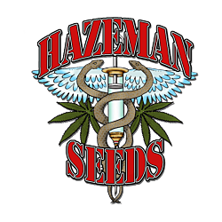 https://media.seedsupreme.com/media/codazon_cache/brand/250x/codazon/brand/hazeman-seeds.png