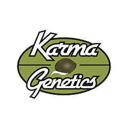 https://media.seedsupreme.com/media/codazon_cache/brand/250x/codazon/brand/karma_genetics_1_1.png
