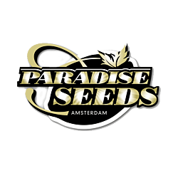 https://media.seedsupreme.com/media/codazon_cache/brand/250x/codazon/brand/paradise_seeds.png