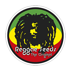 https://media.seedsupreme.com/media/codazon_cache/brand/250x/codazon/brand/reggae-seeds.png