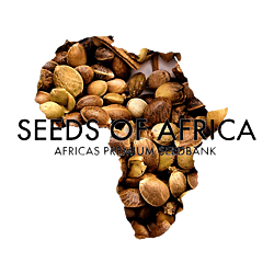 https://media.seedsupreme.com/media/codazon_cache/brand/250x/codazon/brand/seeds-of-africa.png