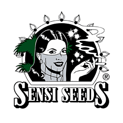 https://media.seedsupreme.com/media/codazon_cache/brand/250x/codazon/brand/sensi-seeds-seedbank.png