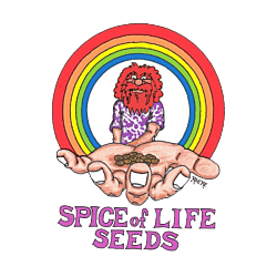 https://media.seedsupreme.com/media/codazon_cache/brand/250x/codazon/brand/spice_of_life_seeds.png