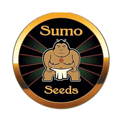 https://media.seedsupreme.com/media/codazon_cache/brand/250x/codazon/brand/sumo-logo.png