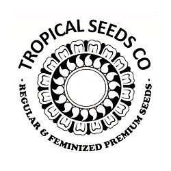 https://media.seedsupreme.com/media/codazon_cache/brand/250x/codazon/brand/tropical-seeds-seedbank.png
