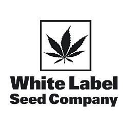 https://media.seedsupreme.com/media/codazon_cache/brand/250x/codazon/brand/white-label.png