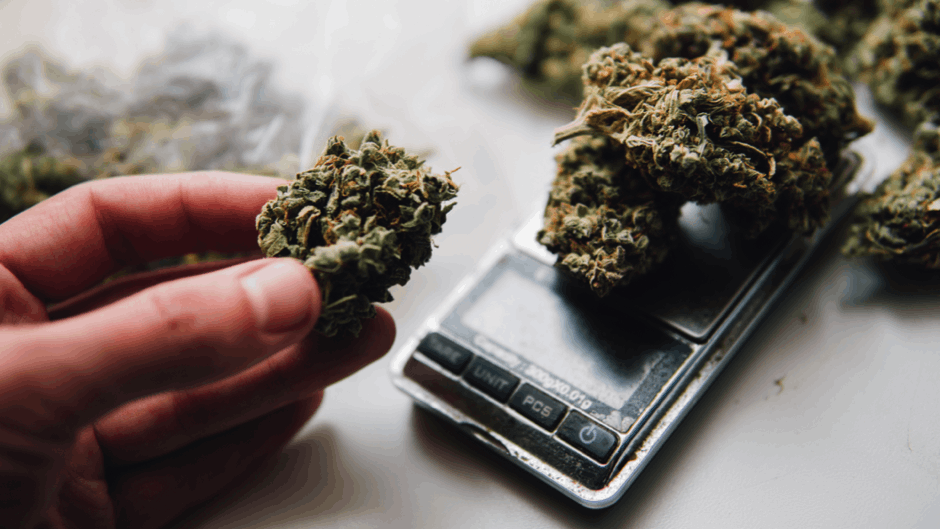 Weed Measurements: Weights, Quantities, Prices