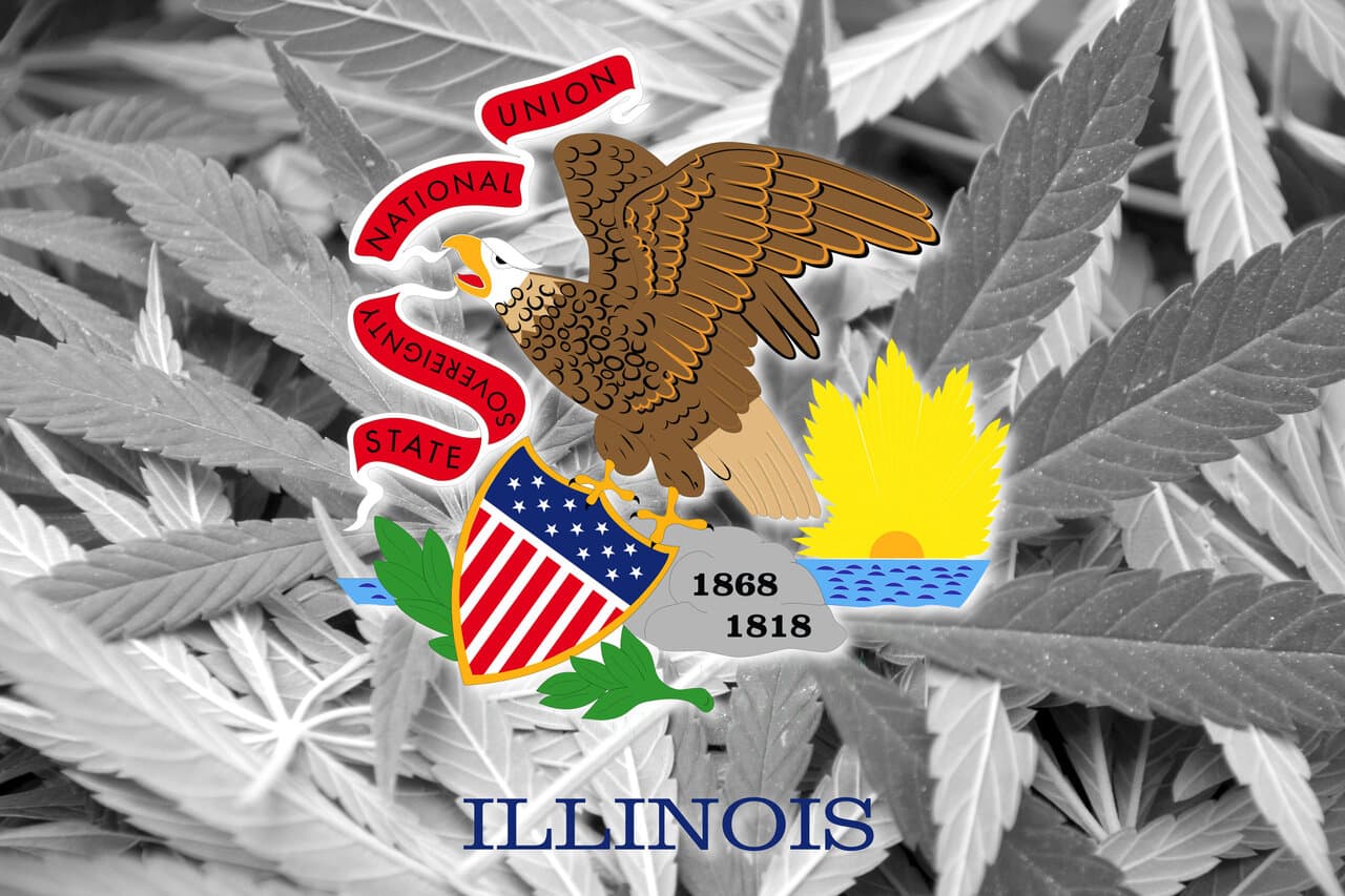 Cannabis Seeds in Illinois