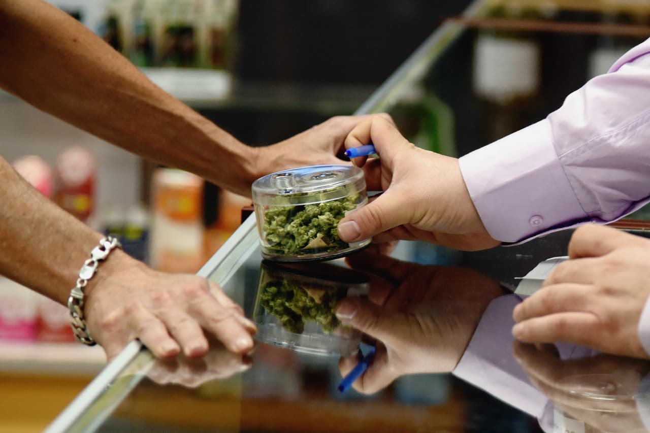 What Does the Resume of a Professional Budtender Look Like?