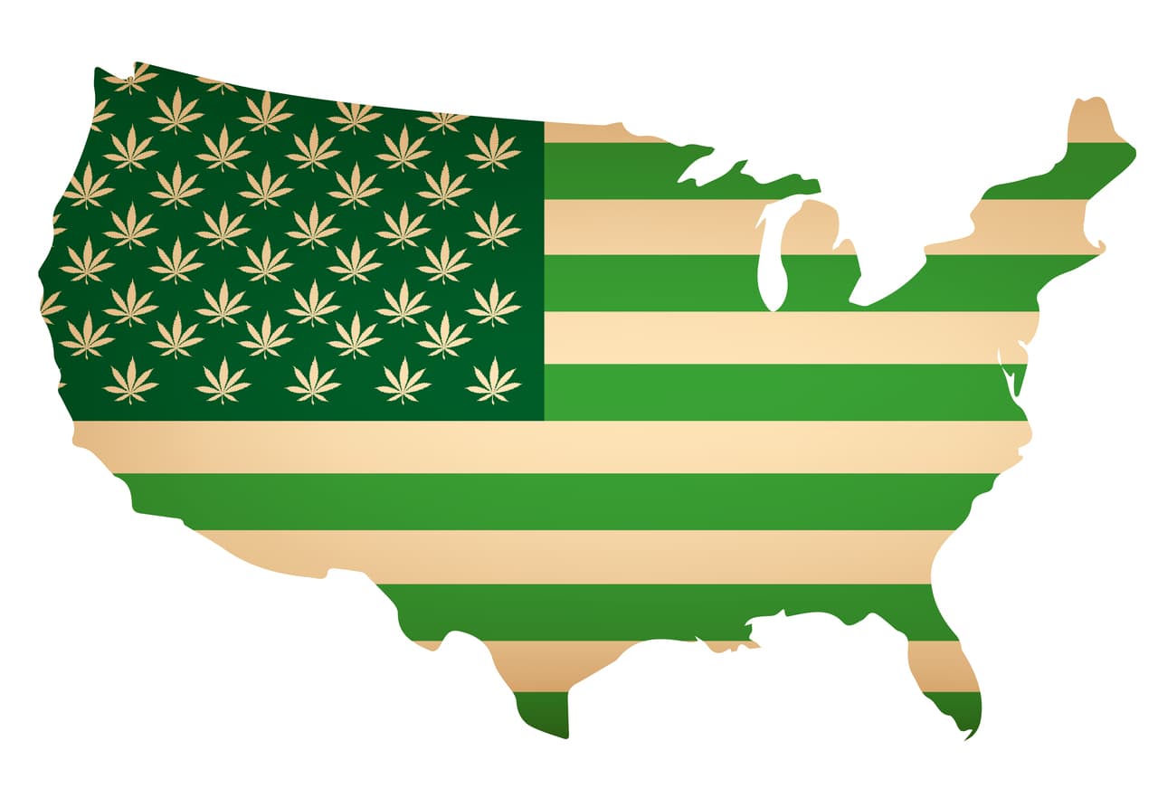 Nine Out of Ten Americans Support Cannabis Legalization