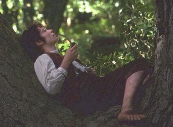 Frodo and his Pipe Weed