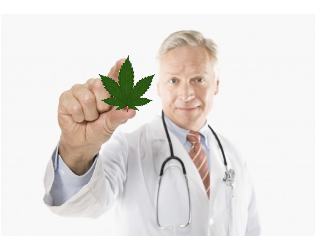 Setting Up With a Medical Cannabis Doctor 