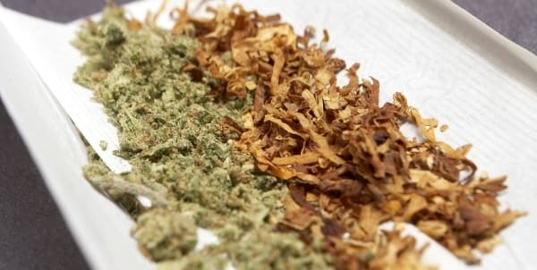 Cannabis More Addictive When Mixed with Tobacco – Fact!