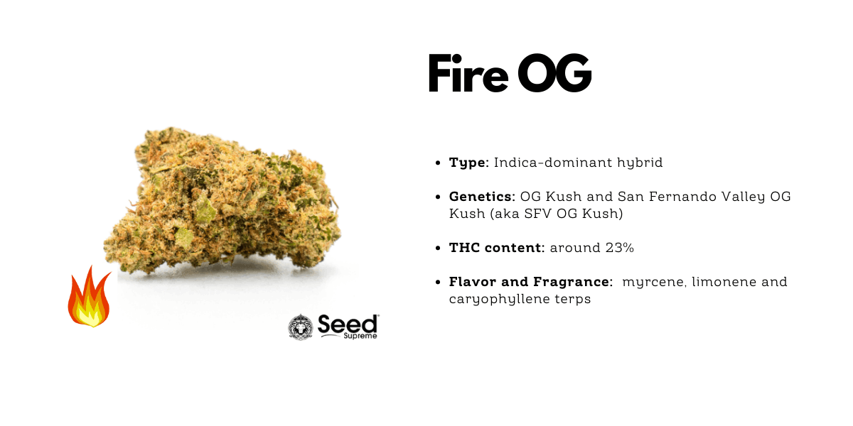 Fire OG cannabis hybrid strain