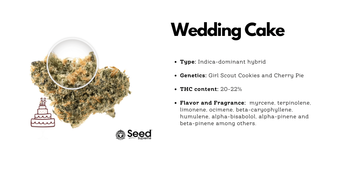 wedding cake cannabis hybrid strain