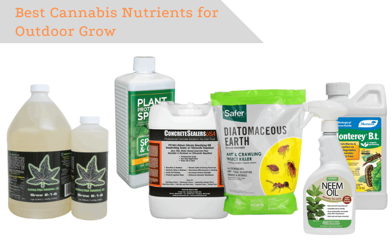 cannabis nutrients for growing outdoors