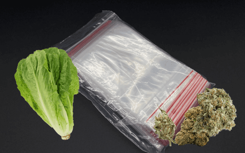 rerydrate dry weed with lettuce