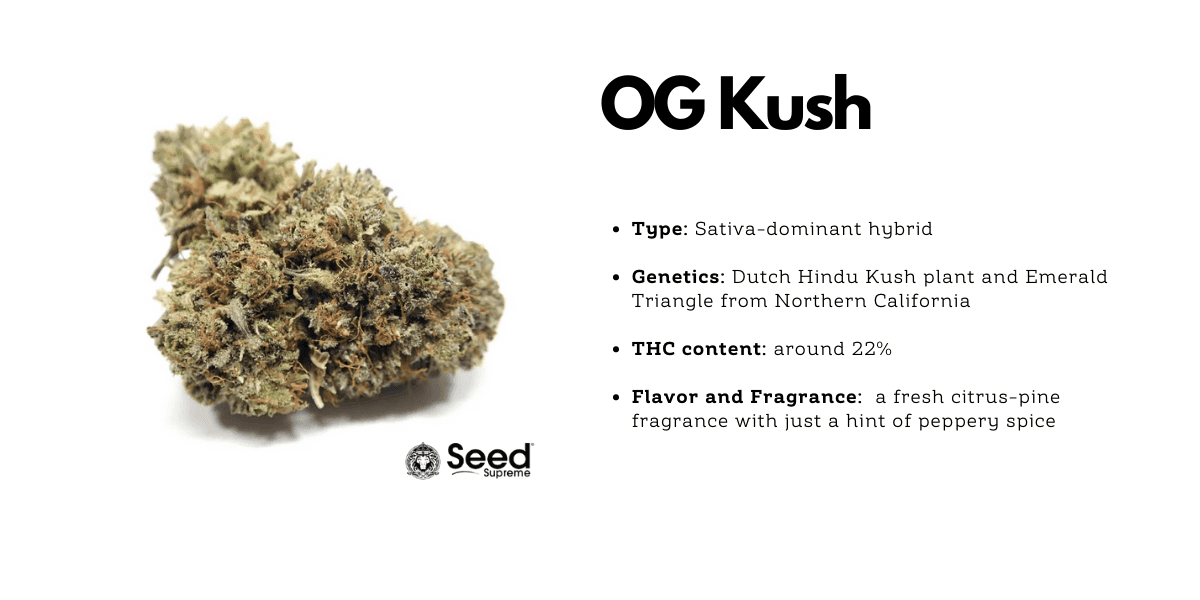 OG Kush cannabis hybrid strain