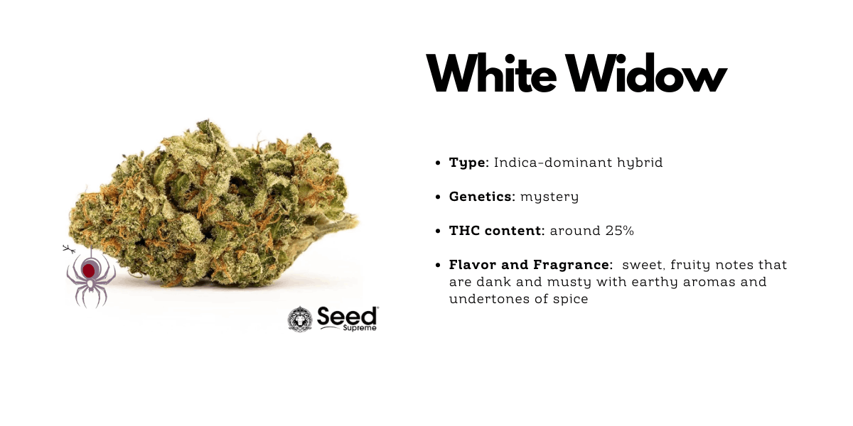 White Widow cannabis hybrid strain