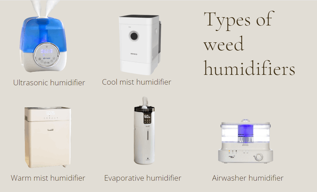 different types of weed humidifiers: ultrasonic, cool mist, warm mist, evaporate, airwahers
