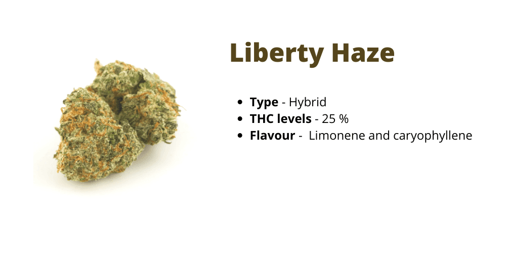 liberty haze strain
